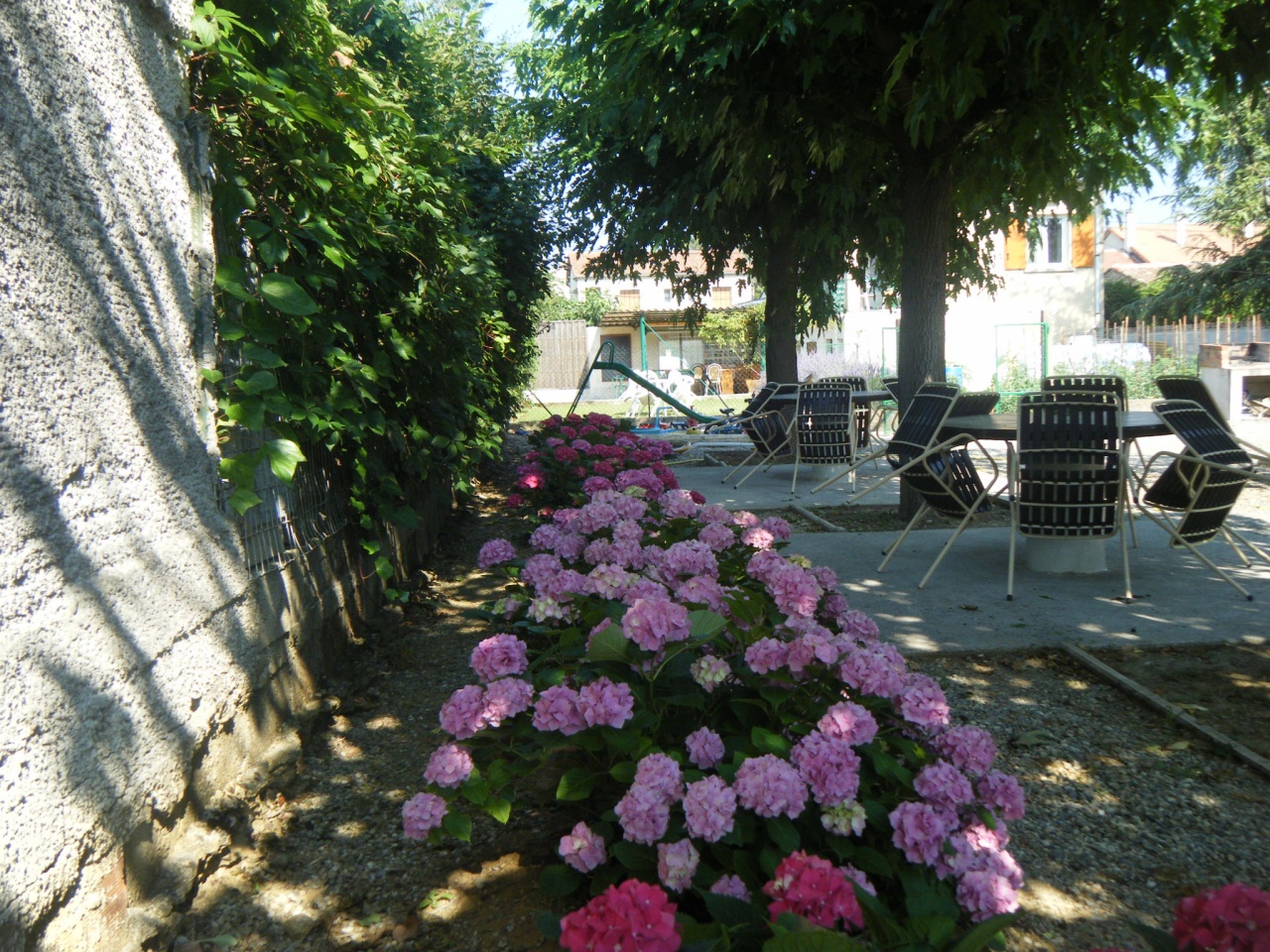 Salons de jardin, hortensias