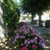 Salons de jardin, hortensias