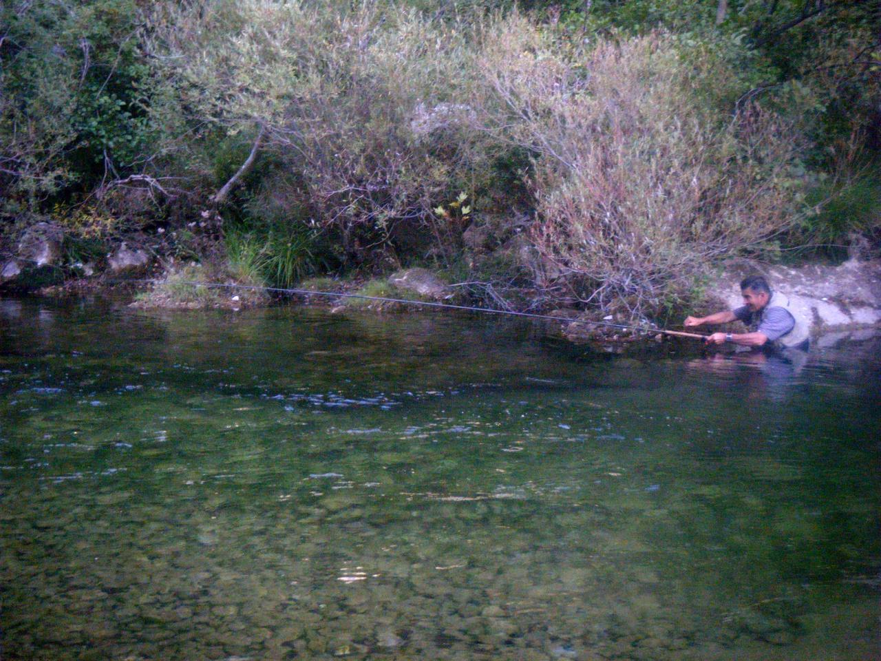 pêche à la truite fario en Cévennes