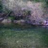 pêche à la truite fario en Cévennes