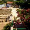 Ensemble potager, aire de jeux 