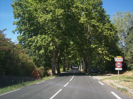 Entrée du village avec ses platanes