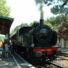 Le petit train d'Anduze