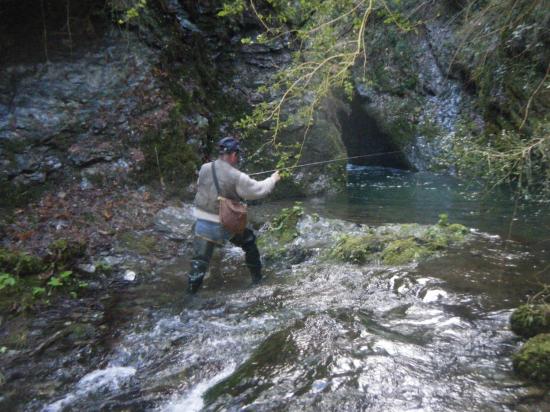 Pêche à la truite