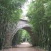 Prafrance, la forêt de bambous