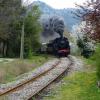 Le petit train des Cévennes