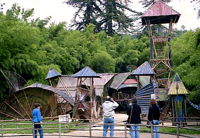 Forêt de bambou, Prafrance