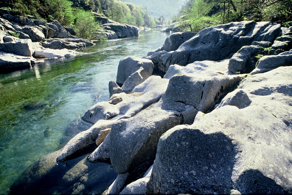 Le gardon à Mialet 