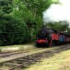 le petit train à vapeur d'Anduze