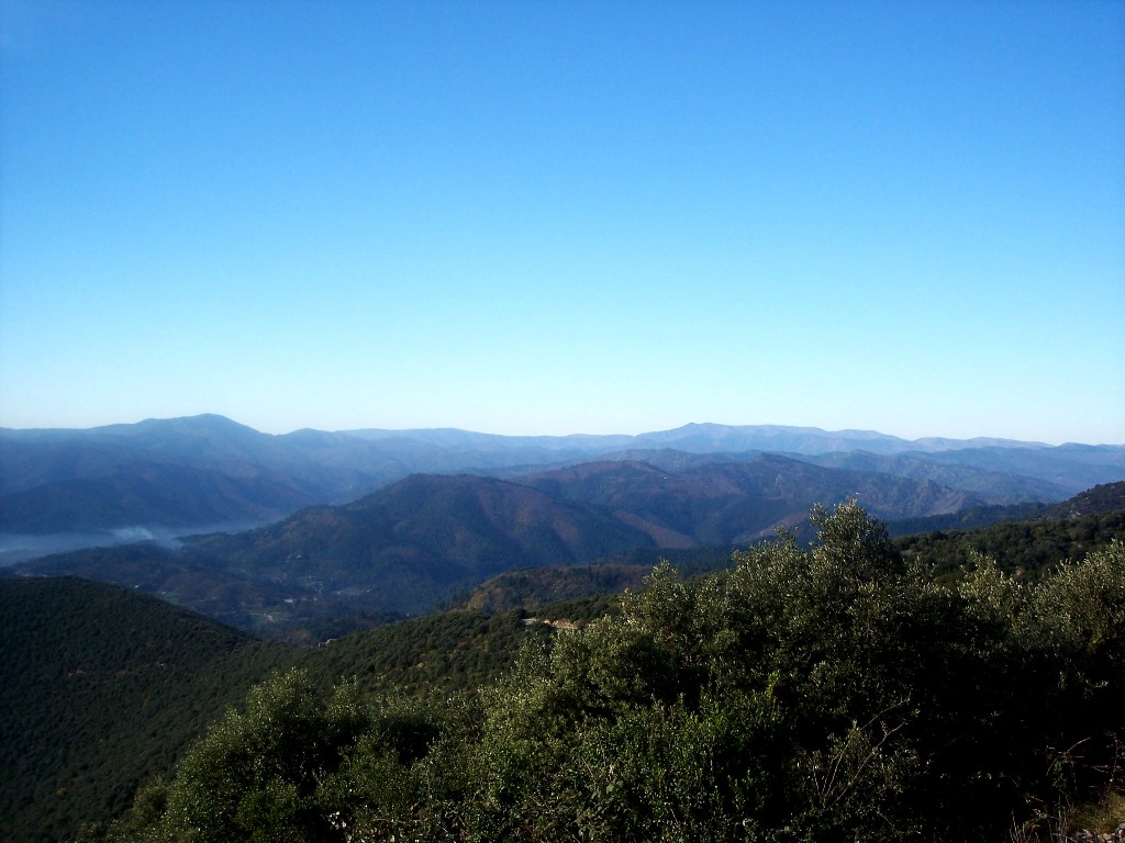 Paysage cévenol 