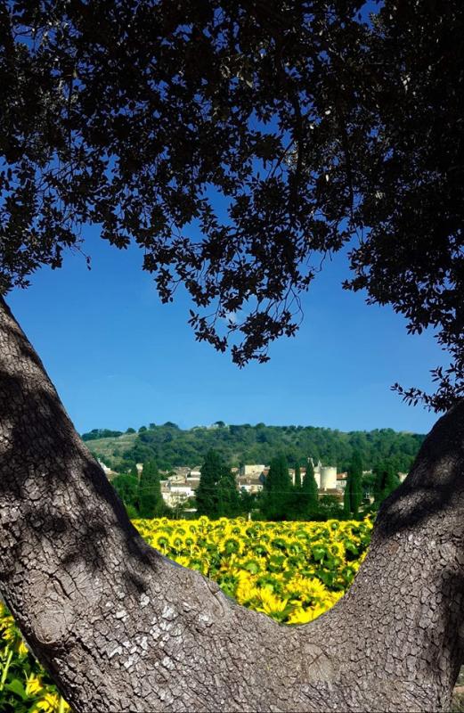 Vue du village de Lézan