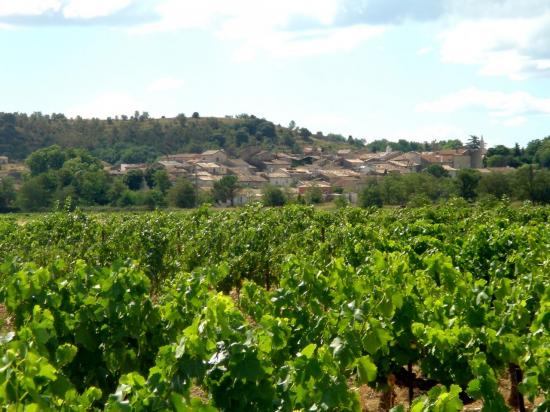 Panorama de Lézan pris en venant d'Anduze devant les vignobles.